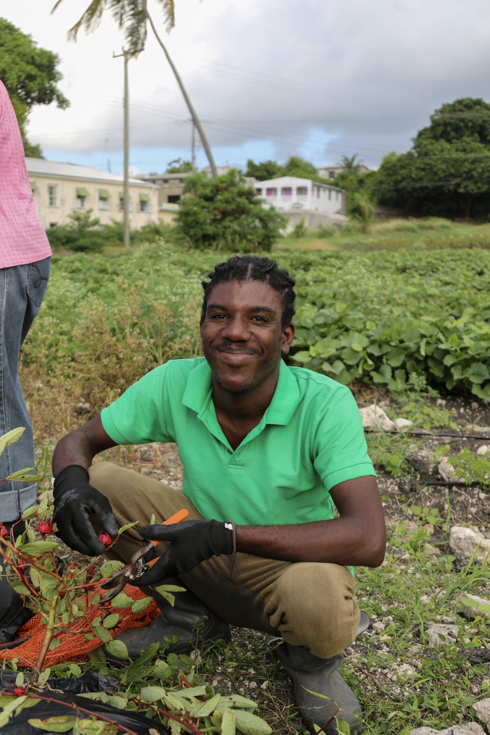 Student Gardening